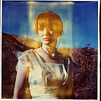 daisy_god_willingcover god willing cover